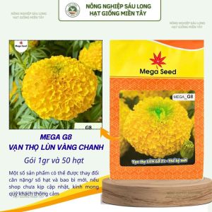 Hạt Giống Vạn Thọ F1 MEGA G8 – Vàng Chanh Cổ Cứng Khỏe Bông To – Mega Seed