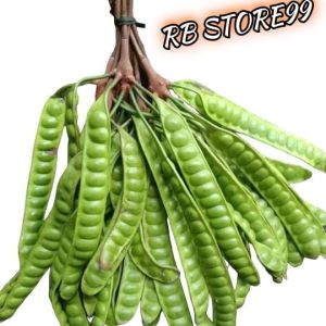 Pete fresh seikat isi 10 papan