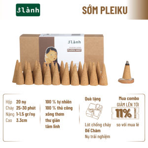 Nụ Thủ Công Sớm Pleiku 3 Lành Hộp 20 Nụ 100 % Tự Nhiên Tặng Kèm Đế Chăm Không Hóa Chất Xông Thơm