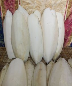 CUTTLEBONES for Birds (XS Small Medium Large XL XXL)