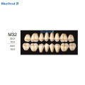4 Vĩ Răng Giả Nhựa Composite Màu A2 Đủ Bộ 28 Răng Dùng Để Học Mài, Đính Đá, Tháo Lắp Labo Nha Khoa. 