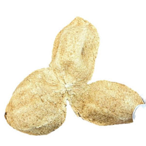 [ Thanh nhiệt cơ thể ] 100g Trà vỏ quýt trần bì/Trà vỏ quýt khô 5 tuổi/Trà cổ êm dịu thơm ngon tốt cho sức khỏe