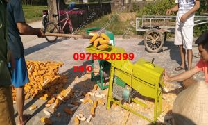 Cập nhập gía máy tách ngô hạt tại lâm đồng