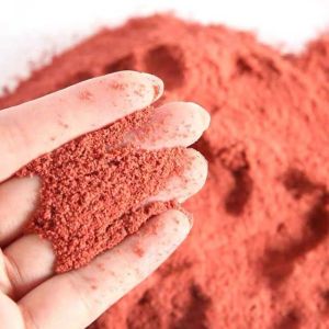 500G Umpan Pancing Pelet Cacing Merah Darah Bubuk Umpan Mancing Ikan