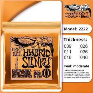 Senar Gitar Listrik 1 SET Ernie Ball Guitar Elektrik Electric String Ernieball