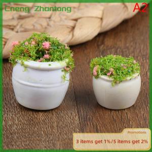 Cneng 2pcs Dollhouse Furniture 1:12 Accessories Mini Green Plant Bonsai Flower Pots