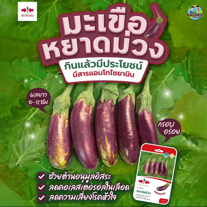 10 อันดับเมล็ดพันธุ์มะเขือศรแดงยอดนิยม ปลูกง่าย ผลดก อัปเดตปี 2025