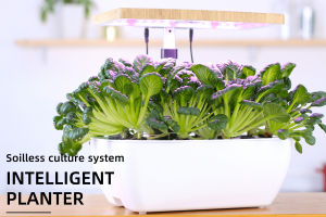 Full spectrum smart Hydroponic planter automatic leisure plant vegetable flower planting machine Intelligent Planter