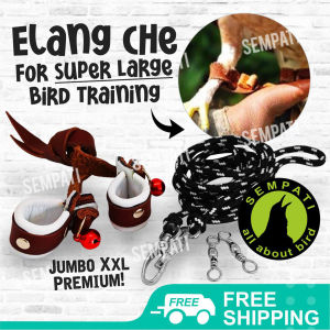 SEMPATI Angklet Celepuk Anklet XXL Tali Kaki Burung Hantu Elang DM CHE JHE BUBO WBSE IBE Tali Pengikat Kaki Burung Elang Jawa Brontok Hitam Laut Falconry Tali Pikat Burung