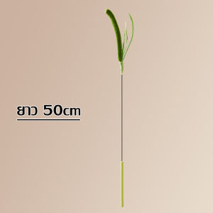 ไม้ตกแมวแบบสปริง ของเล่นแมว ไม้ตกแมว มี 2 สีให้เลือก ไม้ล่อเเมว ก้านยาว 50 cm สำหรับสัตว์เลี้ยง สำหรับแมวฝึกทักษะ ไม้ตกแมว พร้อมขนนก ทนทาน ไม่หักง่าย