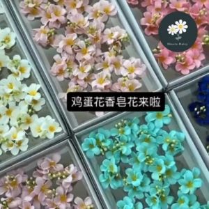 (Per Box) Frangipani /Plumeria Soap Flower Head Bunga Sabun 鸡蛋花香皂花花头