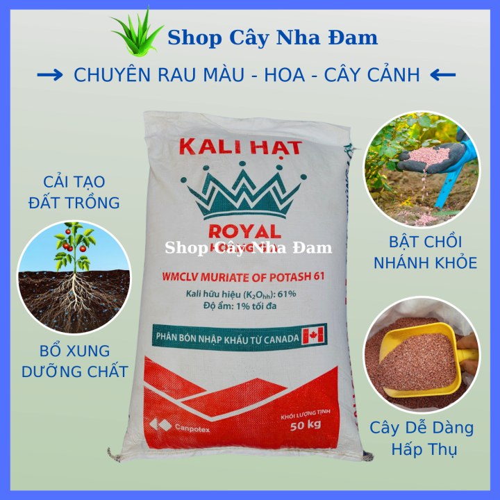 Phân KaLi Chuyên Kích Thích Siêu Ra Hoa Đậu Trái,Cứng Cây, Ngọt Quả ...