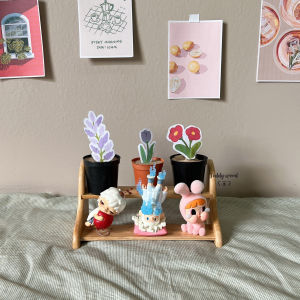 ชั้นวางต้นไม้ ชั้นวางของ (ขนาดเล็ก ทรงH) โปรดอ่านรายละเอียดก่อนนะคะ