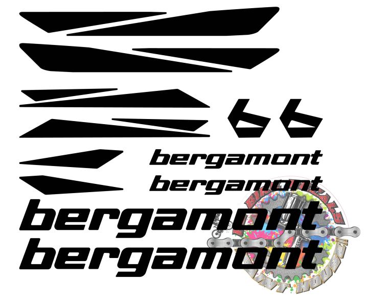 NOS Bergamont Frame Set Dolce 4.1 Size 56 Alloy