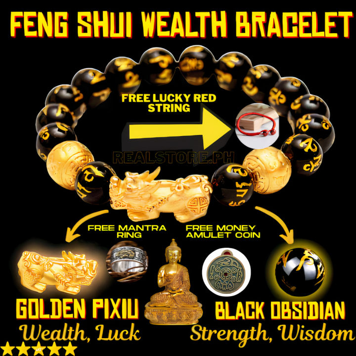 TCC™ Black Obsidian Double Pixiu Feng Shui Wealth Charm Bracelet – The  Click Cart