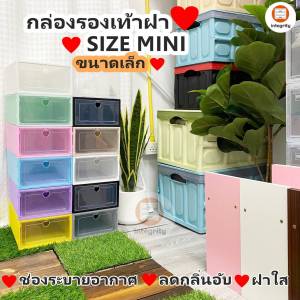 Sizeเล็ก! กล่องรองเท้า SIZE MINI กล่องรองเท้าขนาดเล็ก ฝากรอบสี เปิดด้านหน้า