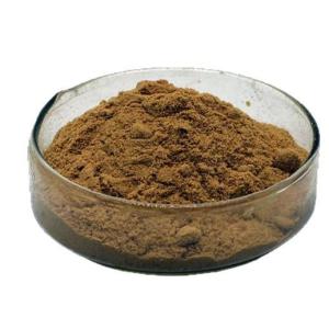 Angelica Dahurica Extract 1kg package food raw material water-soluble powder quality guaranteed samples available ready stock free shipping