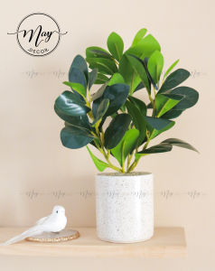 Cây giả Chậu sen đá 5 hoa  trà xanh trang trí nhà cửa để bàn quà tặng ý nghĩa