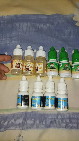 Buyer review video 2