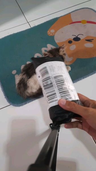 Buyer review video 4