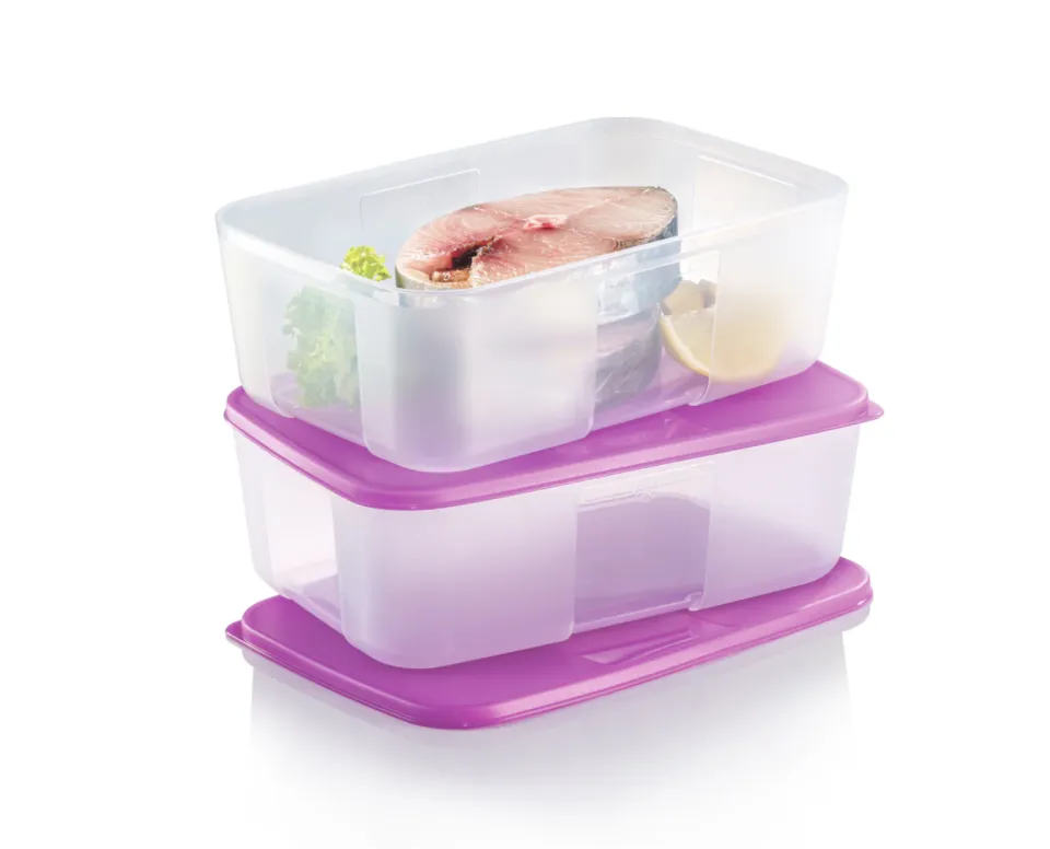 Tupperware Freezermate Set - Freezer safe food storage container