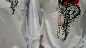 KAOS PSHT LOGO SINAR PERSAUDARAAN SETIA HATI TERATE BUNGA LENGAN PANJANG // KAOS DISTRO PSHT 1922 // KAOS SH KEREN //Atribut PSHT-Kaos PSHT Sh Terate Jepang Lengan Panjang Distro Terbaru-KAOS PSHT TERATE EMAS LENGAN PANJANG KAOS PSHT SATU ABAD KAOS DISTRO