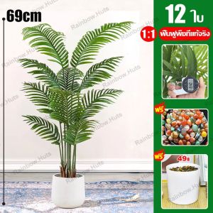🔥ไม่เป็นพิษ ไม่มีกลิ่น ไม่มีฟอร์มาลดีไฮด์🔥ต้นไม้มงคลปลอม  96cm/24 ใบ ฟรีกระถางดอกไม้ต้นไม้+หินตกแต่ง สไตล์นอร์ดิก ในบ้าน ต้นไม้มงคล ต้นไม้ประดิษฐ์ ต้นไม้ปลอม ต้นไม้ปลอมตกแต่งบ้าน ต้นไม้ตกแต่งบ้าน ต้นไม้ปลอมสวยๆ ต้นไม้ปลอมใหญ่ ต้นไม้เทียม ต้นไม้แต่งห้อง