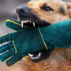 Pet Gloves Pet Training Processing Gloves Cowhide Anti-Scratch And Anti-Bite Protective Gloves Suitable