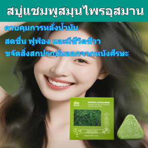 ⏰ข้อเสนอแบบจำกัดเวลา⏰สบู่เร่งผมยาวทำมือ ทำความสะอาดหนังศีรษะสมุนไพรไซบีเรียใบ ขจัดปัญหาผมร่วง ควบคุมความมัน สบู่ ดูแลหนังศีรษะอย่างอ่อนโยน เสริมสร้างเส้นผมทุกวัน ป้องกันอาการคันหนังศีรษะ ไม่เหนียวเหนอะหนะ บำรุงหนังศีรษะ