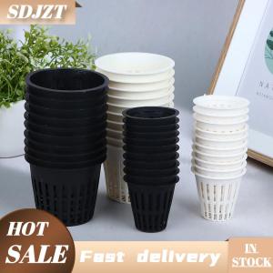 SDJZT 10 cái 2 inch 3 inch phát triển hoa lan thủy canh chén trồng lưới nồi soilless Net giỏ rãnh thuộc địa container