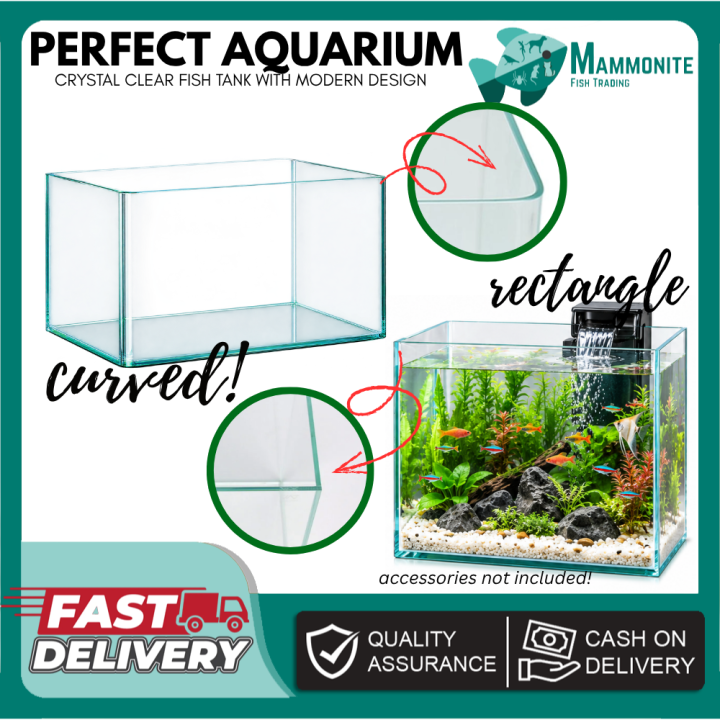 The Perfect Project Rtacker Perfect Aquarium Curved Glass Aquarium 18L to 60L Clear Glass Aquarium ...