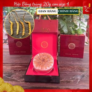 Hộp Đông trùng Hạ thảo Tây Tạng 20g size 4 nguyên con loại (khoảng 80 con)
