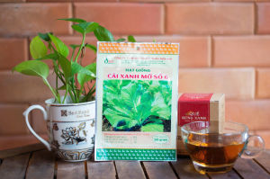 hat giống Cải xanh số 6 50gr