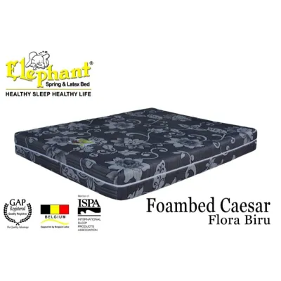 Kasur Busa Full Rebounded Elephant Foambed Caesar Tebal 25 cm