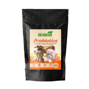 Probiotics for pigeon for dogs chicken fish birds | CHC Agritech Probiotics