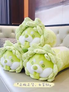 菜狗娃娃Cute Vegetable Puppy Bed Pillow Plush Doll Vegetable Dog Soft Toy Birthday Gift Home Decoration