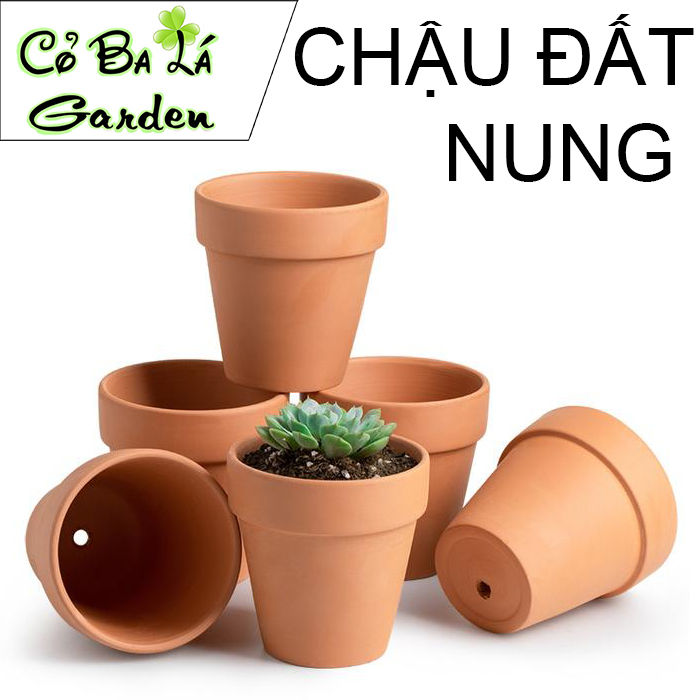 Chậu đất nung Bát Tràng