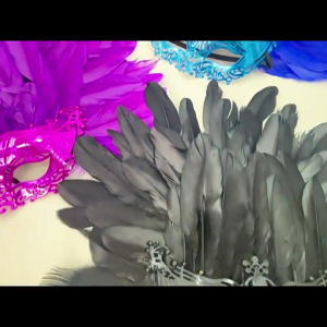 Venetians Mask Eye mask Feather Half Face Mask Eye Mask for Masquerades PromsHalloween PartyCosplayPhoto Shoot Gift