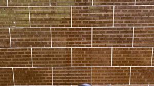 Sangkar murai no3 motif naga + pion ukiran naga