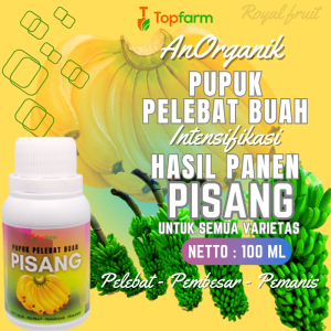 Pupuk Pelebat Buah Pisang / Pupuk Buat Tanaman Pohon Pisang / Pupuk Cair Buat Pohon Pisang / Pupuk Buat Pohon Pisang / Pupuk Khusus Pohon Pisang
