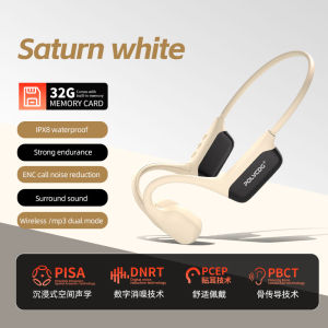 Polvcdg-S10 IPX8 Waterproof LED Swimming Bone Conduction Headphones 5.4 Random Play Sports Riding Headphones with Microphone