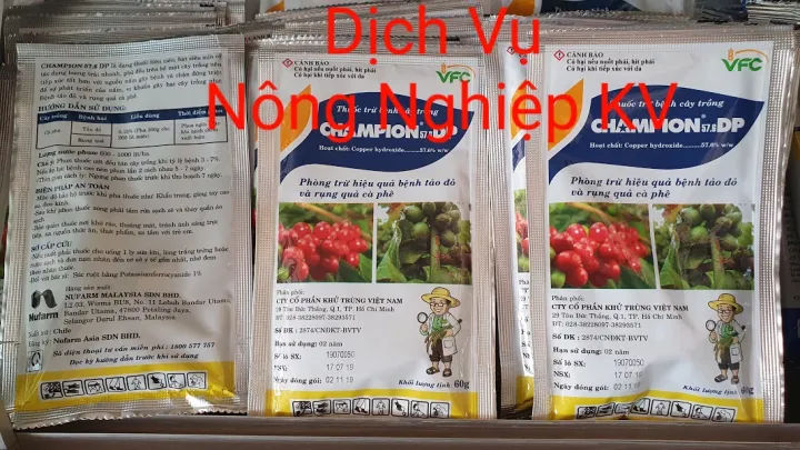 CHAMPION%2057.6%20DP%20VFC%20-%20Image%201