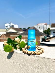 PROMO Tokyo Night Deodorant Murah Pria Wanita Roll On 50ml