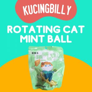 Rotating cat mint ball catnip asli