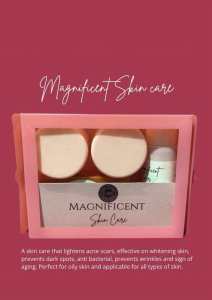 Magnificent Skin Care (Toner whitening soap Night Cream Sunscreen)