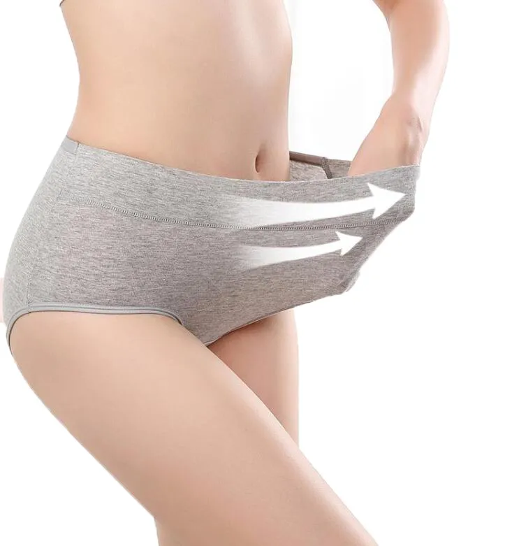 Nozik ayollar bilan virtual jinsiy aloqani yozib olish