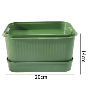 New Seed Sprouts Tray Nursery Tray Saving Space Mini Greenhouse Germination Kits for Sprout Planting Container Green Growing Tray