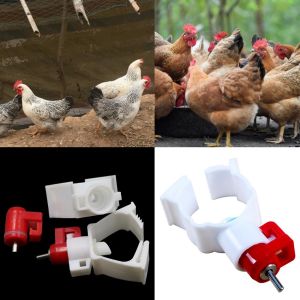 5PCS Poultry Water Drinker Automatic Chicken Drinkers Hanger Automatic Chicken Water Nipples Drinker Poultry Water Drinker No Cup