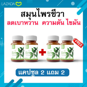 โปรโมชั่นวันนี้!! แคปซูล 2แถม 2 ราคา 1470  บาท   สมุนไพรชีวา ผักเชียงดา (ได้ทั้งหมด แคปซูล 4 กระปุก)
