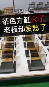 Bể cá để bàn nhỏ   Bể cá cây thủy sinh nhỏ     Bể cá cảnh sáng tạo bằng kính xuyên biên giới mới #